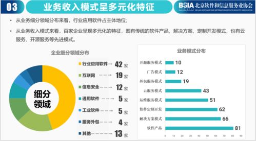 2021北京軟件和信息技術(shù)服務(wù)企業(yè)綜合實(shí)力報告發(fā)布